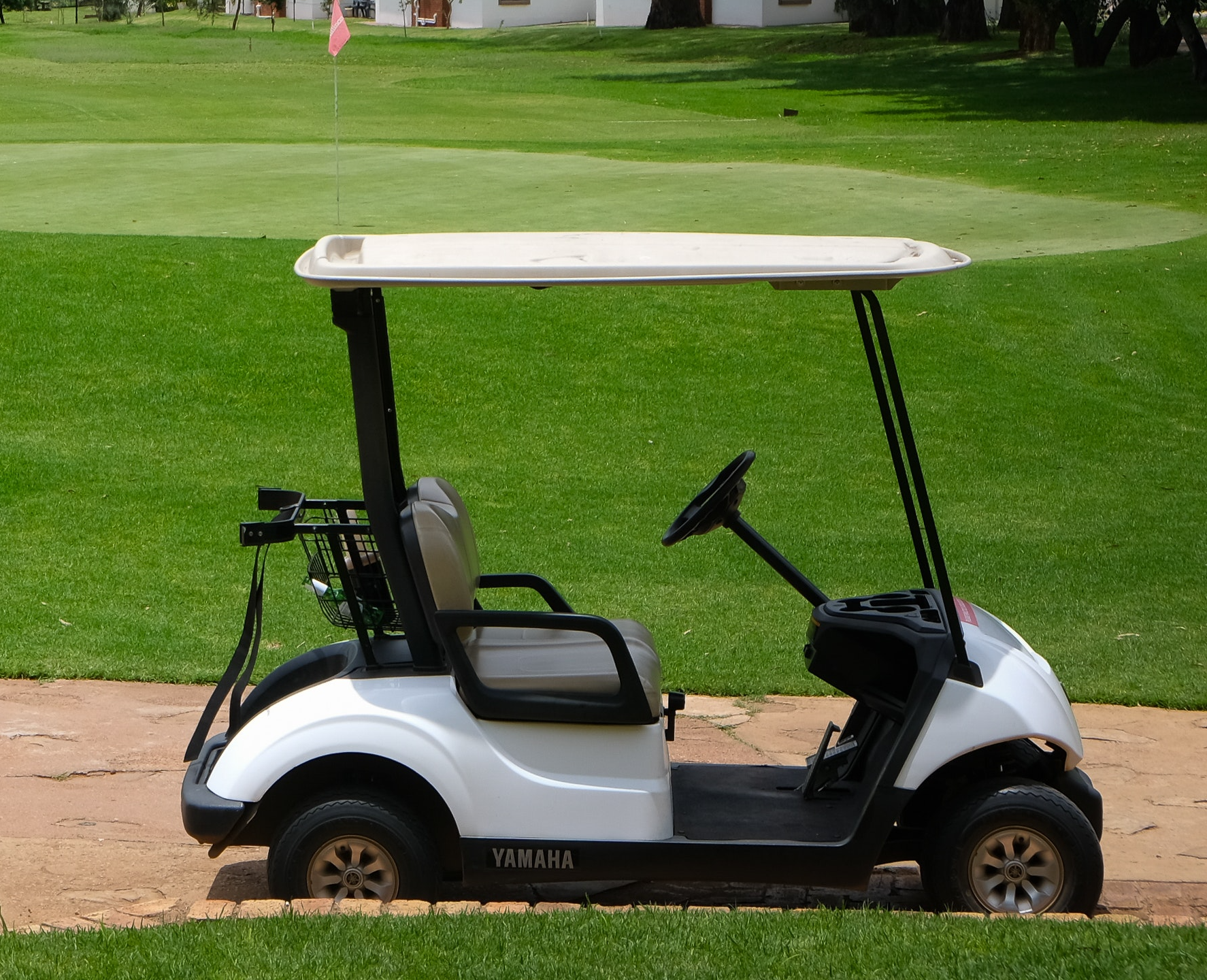 cart parked next to green